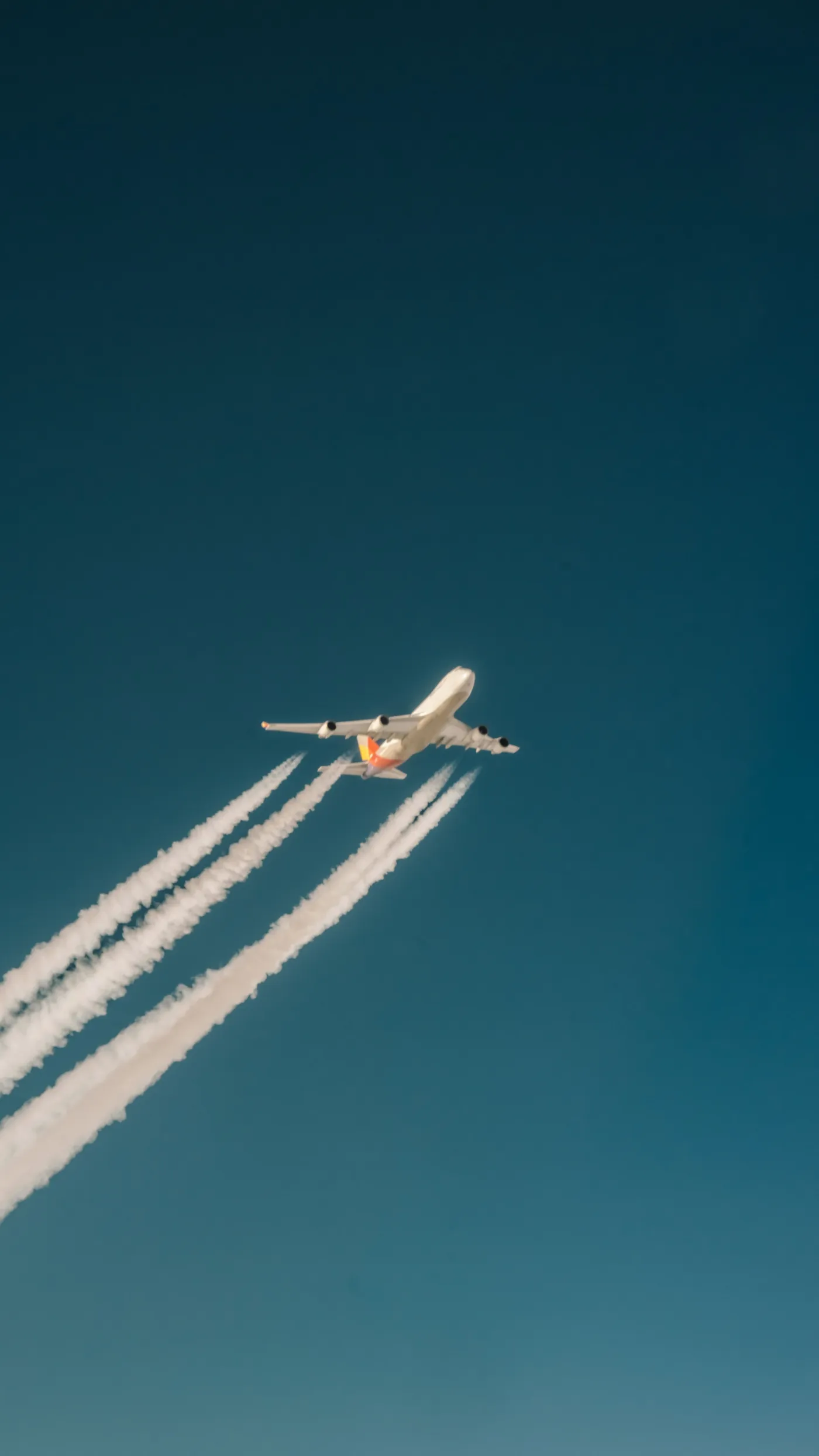 Repatriación internacional